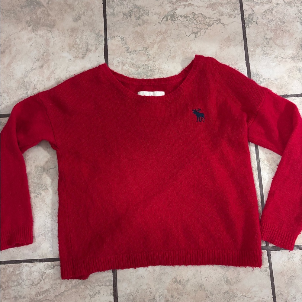 Red Sweater with Embroidered Logo